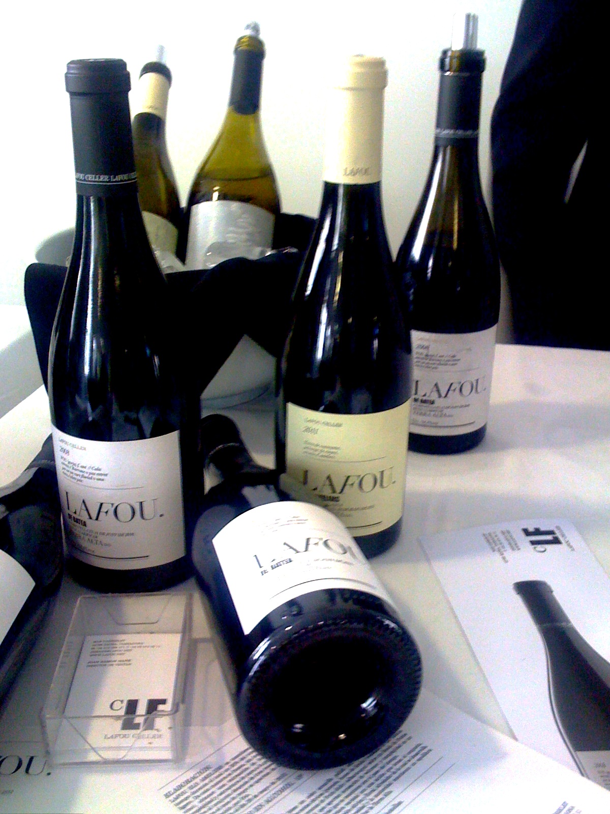 Salon_mejores_vinos_peñin_lafou